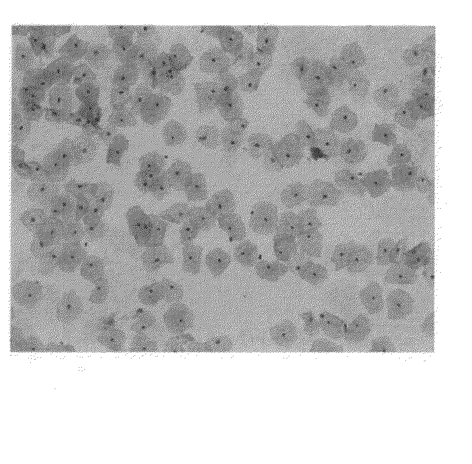 Substance for Specimen Preparations and Related Methods