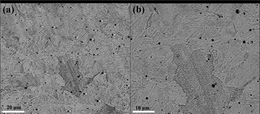 Nano-oxide and carbide dispersion-strengthened low-activation steel and preparation method and application