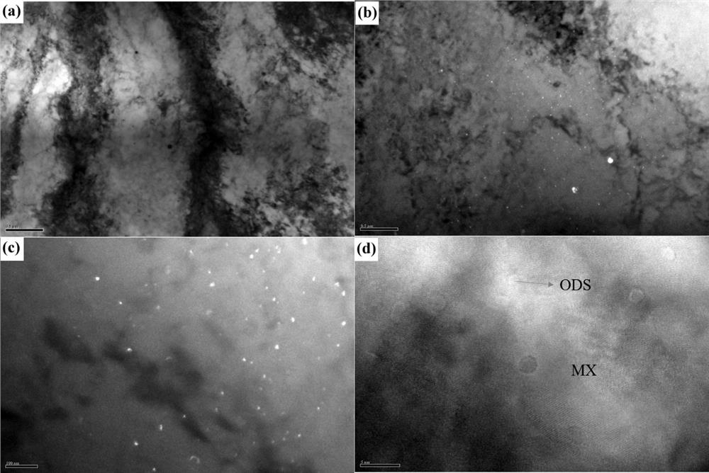 Nano-oxide and carbide dispersion-strengthened low-activation steel and preparation method and application