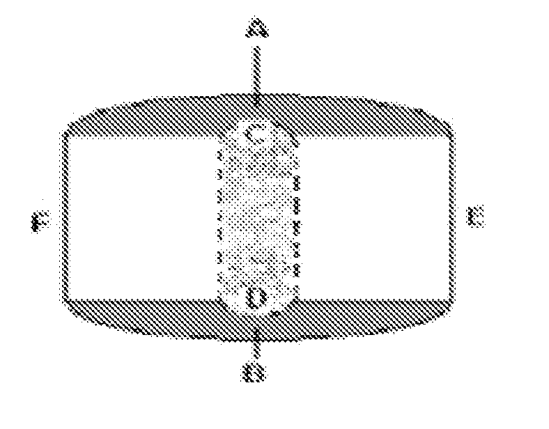 Device For The Manufacture Of A Dosage Form With A Hole And Method Of Manufacture