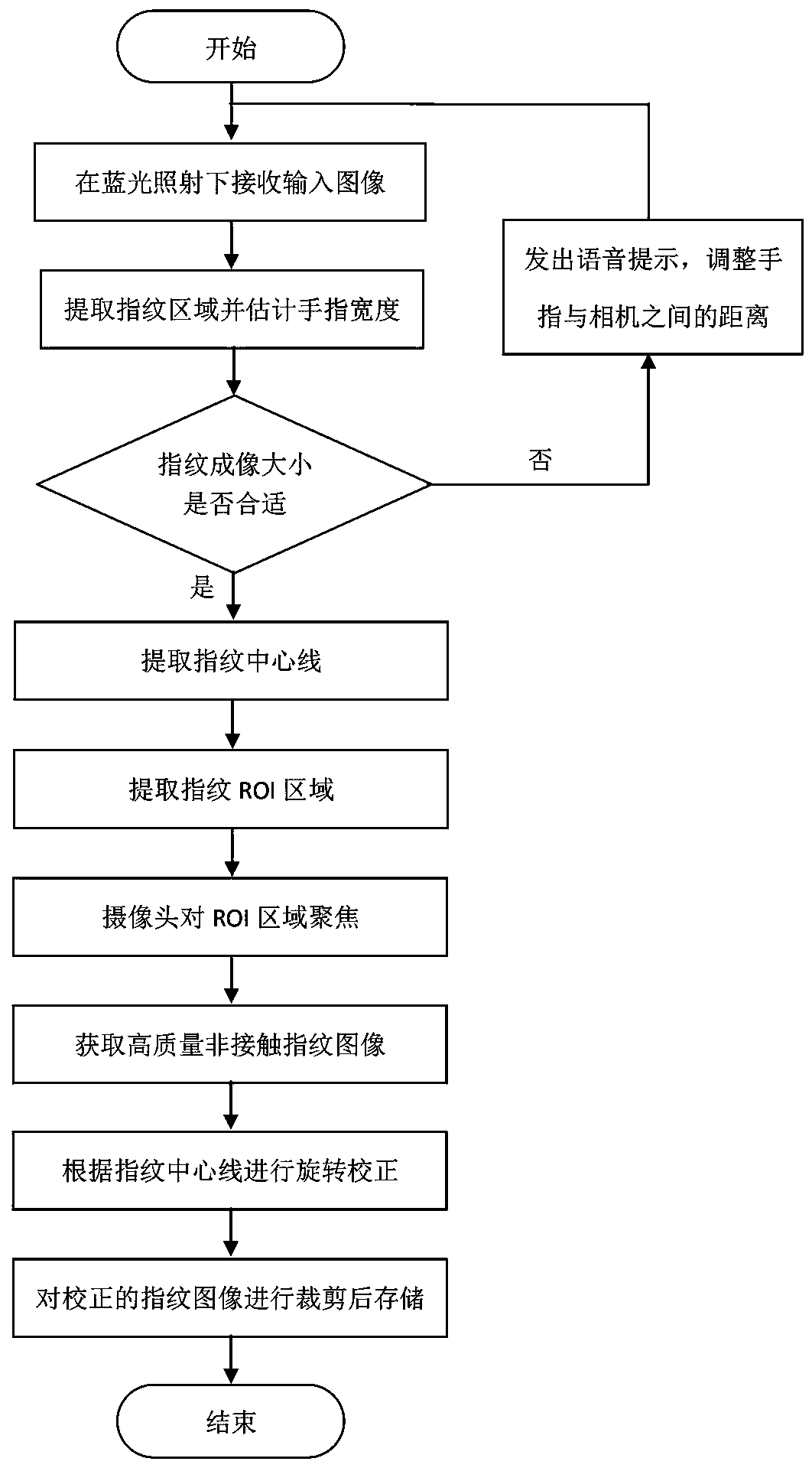 Camera-based non-contact fingerprint image acquisition apparatus and method