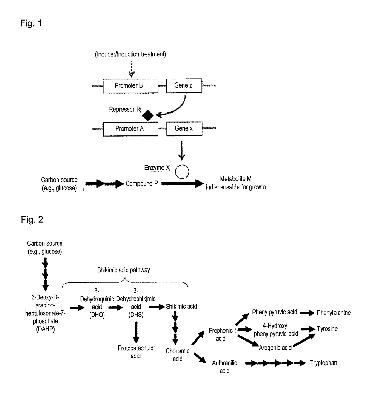 Useful microorganism and method for producing substance of interest