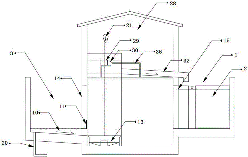 System and method for observing, collecting and sorting fishes passing through fishway