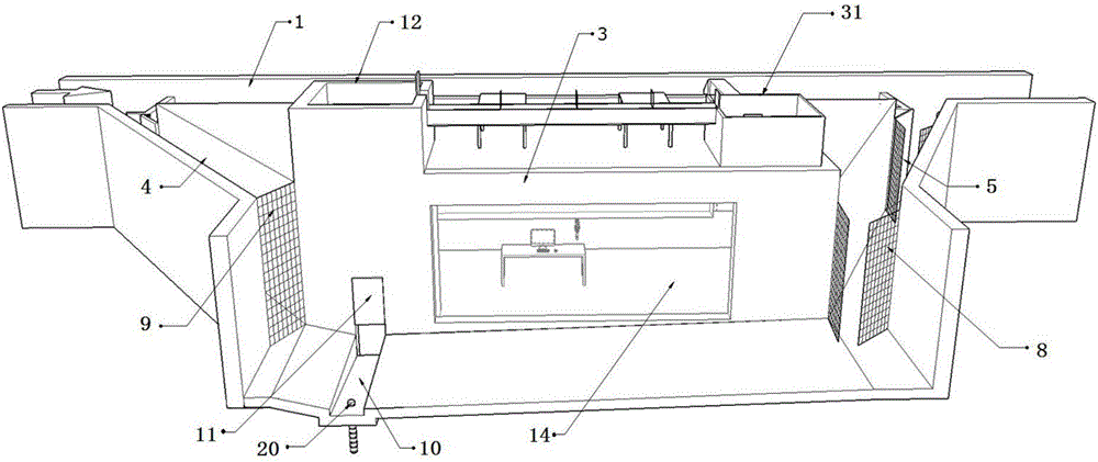 System and method for observing, collecting and sorting fishes passing through fishway