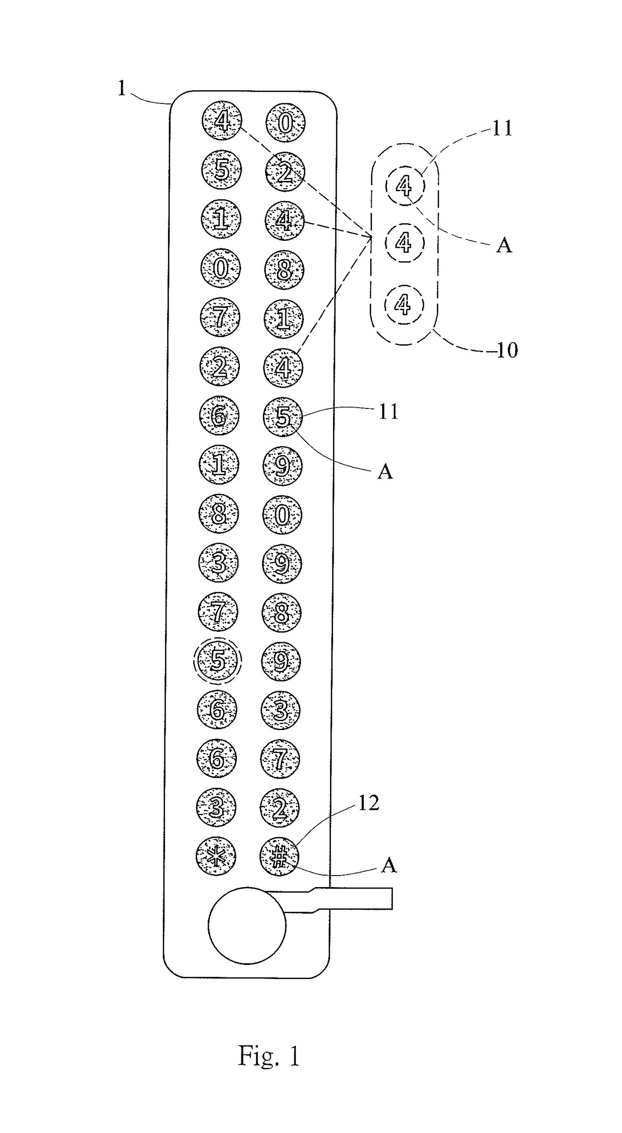 Input device with dynamic display function