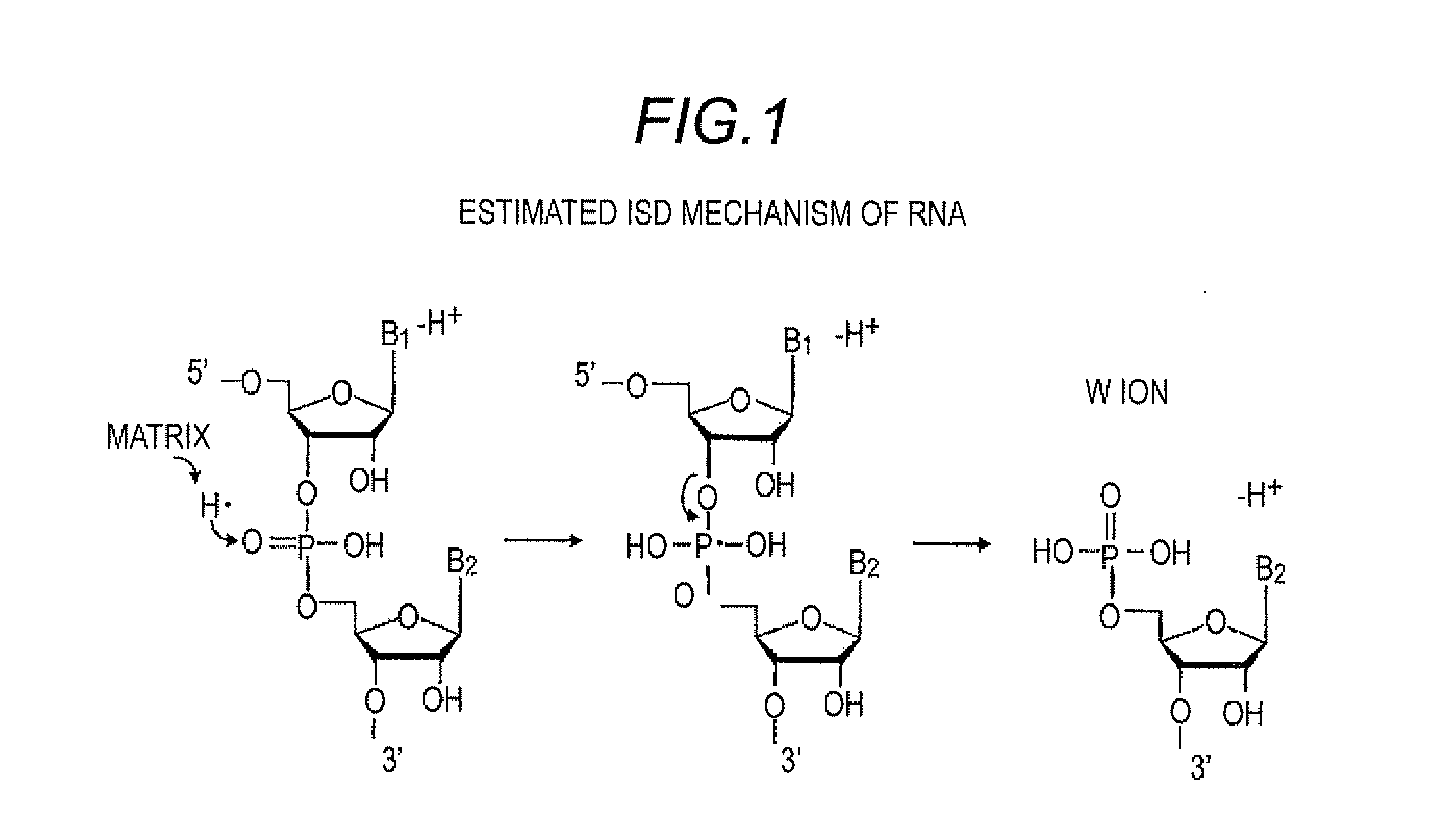 Method for Sequencing RNA by In-source Decay Using Matrix Assisted Laser Desorption Ionization Time of Flight Mass Spectrometer