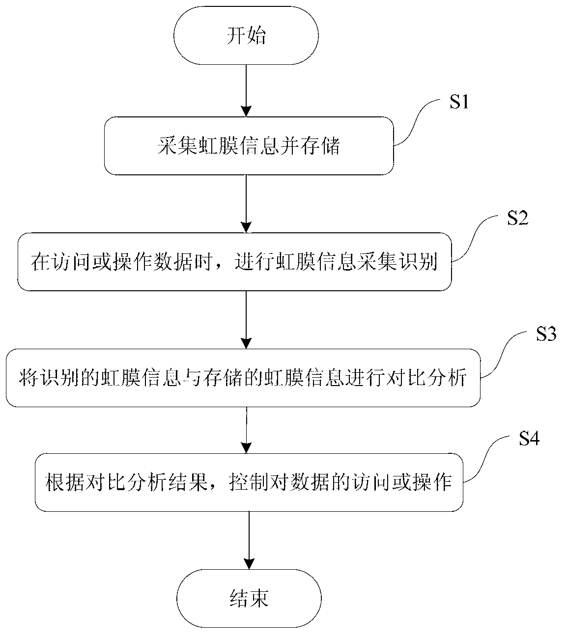 Method and system for protecting data based on iris identification