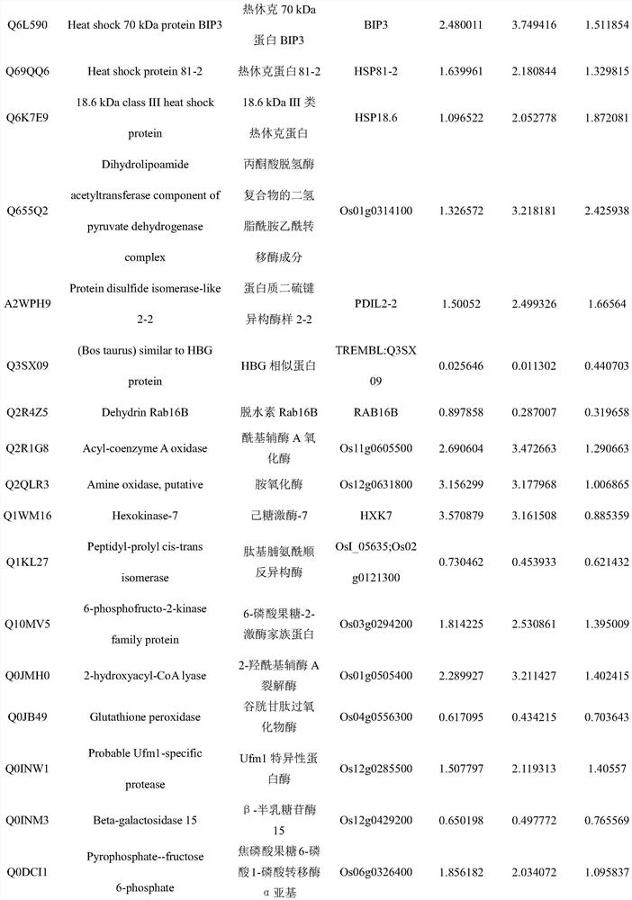 A marker for detecting quality deterioration of rice stored at high temperature and its application