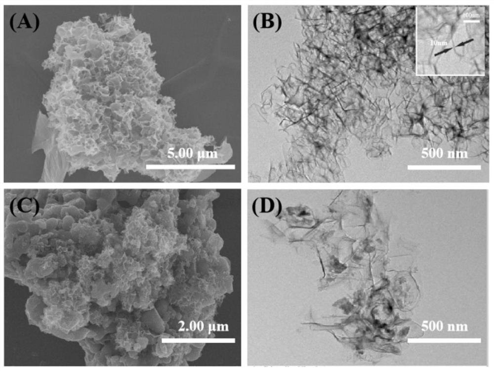 Hydroxyl-modified tremella-shaped three-dimensional carbon nanosheet as well as preparation method and application thereof in gallium recovery
