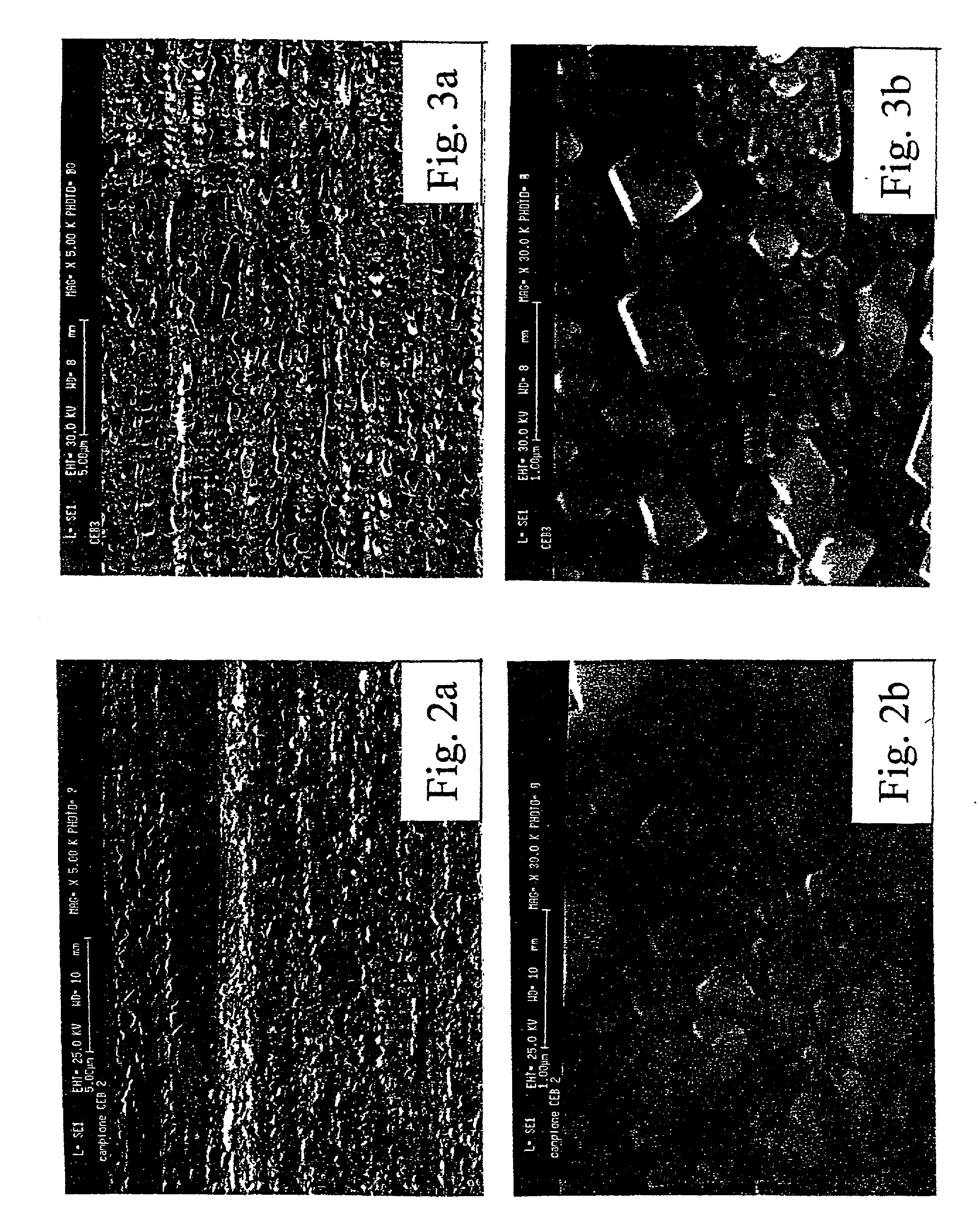 Electrochemical method for forming an inorganic covering layer on a surface of a copper material