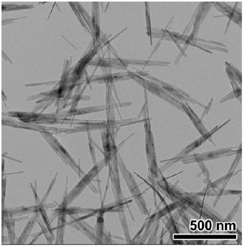 Fe nanorod, Pt@Fe nanorod catalyst, and synthesis and application