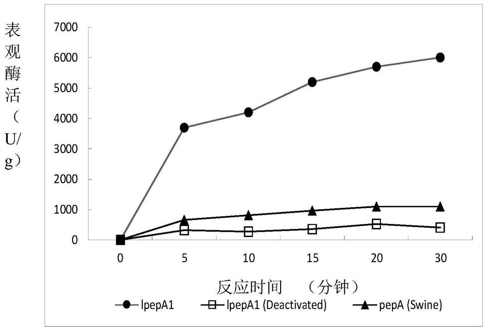 A kind of low-temperature acid protease and its coding gene and application