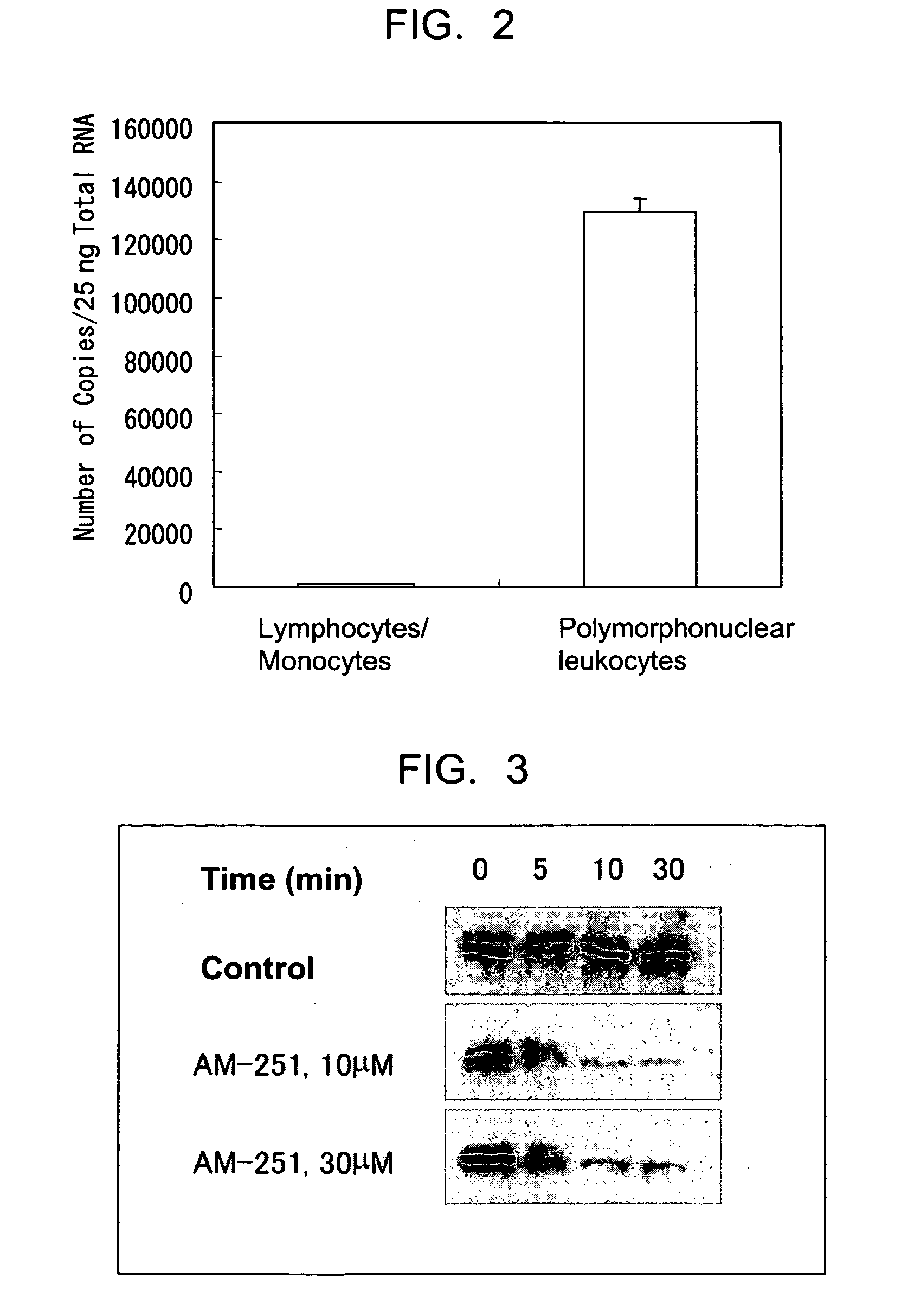 Novel Ligand of G Protein Coupled Receptor Protein and Use Thereof