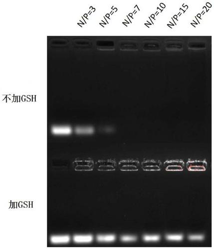 Methacrylic acid-3,4-dithio-hydrohexylacrylate derivative as well as preparation method and application thereof