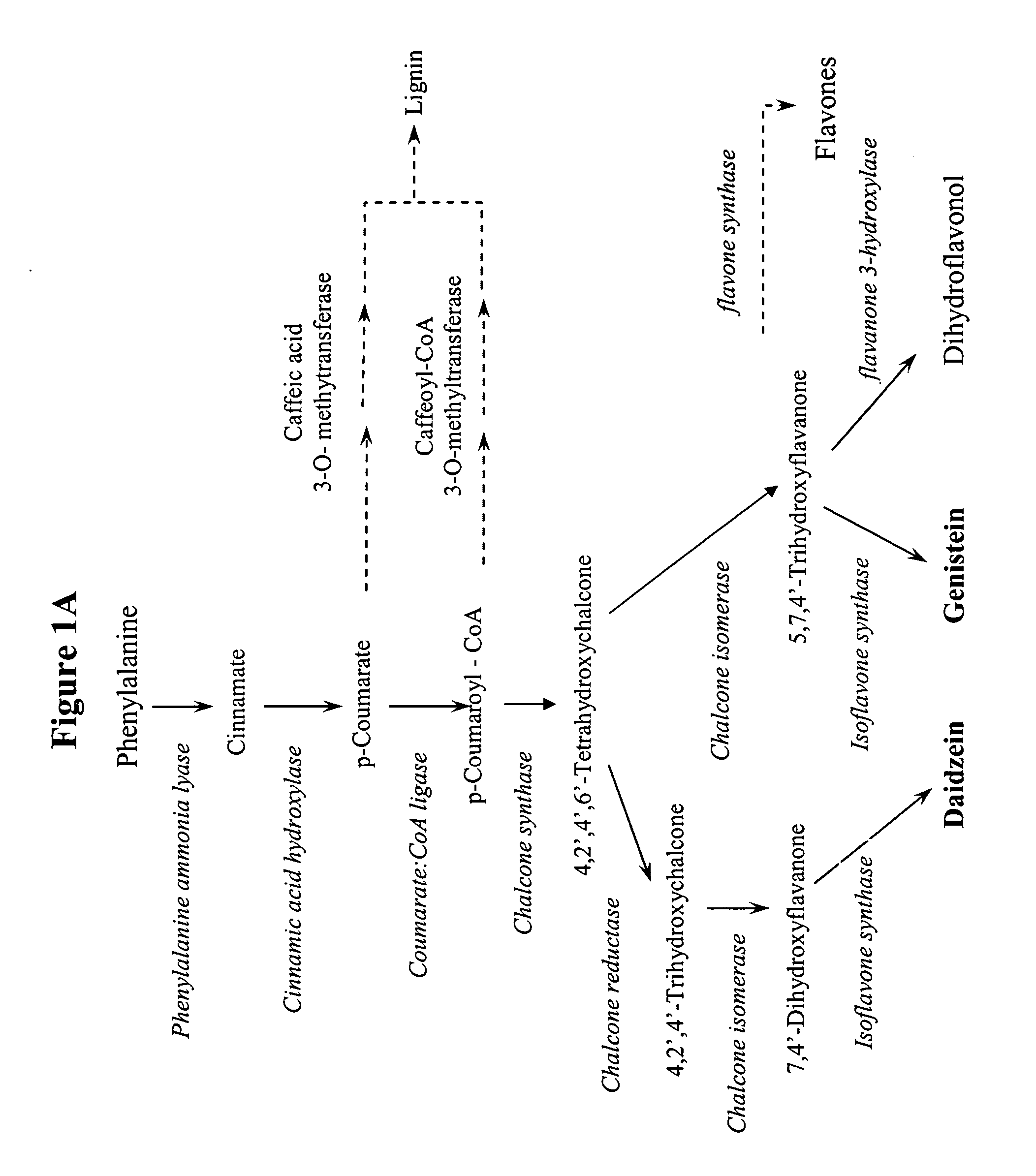 Method for altering the isoflavonoid profile in the plant parts of an isoflavonoid-producing plant