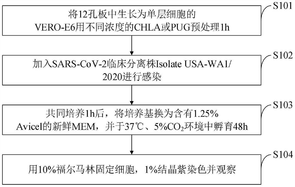 Application of medicine for inhibiting SARS-CoV-2 virus replication and kit