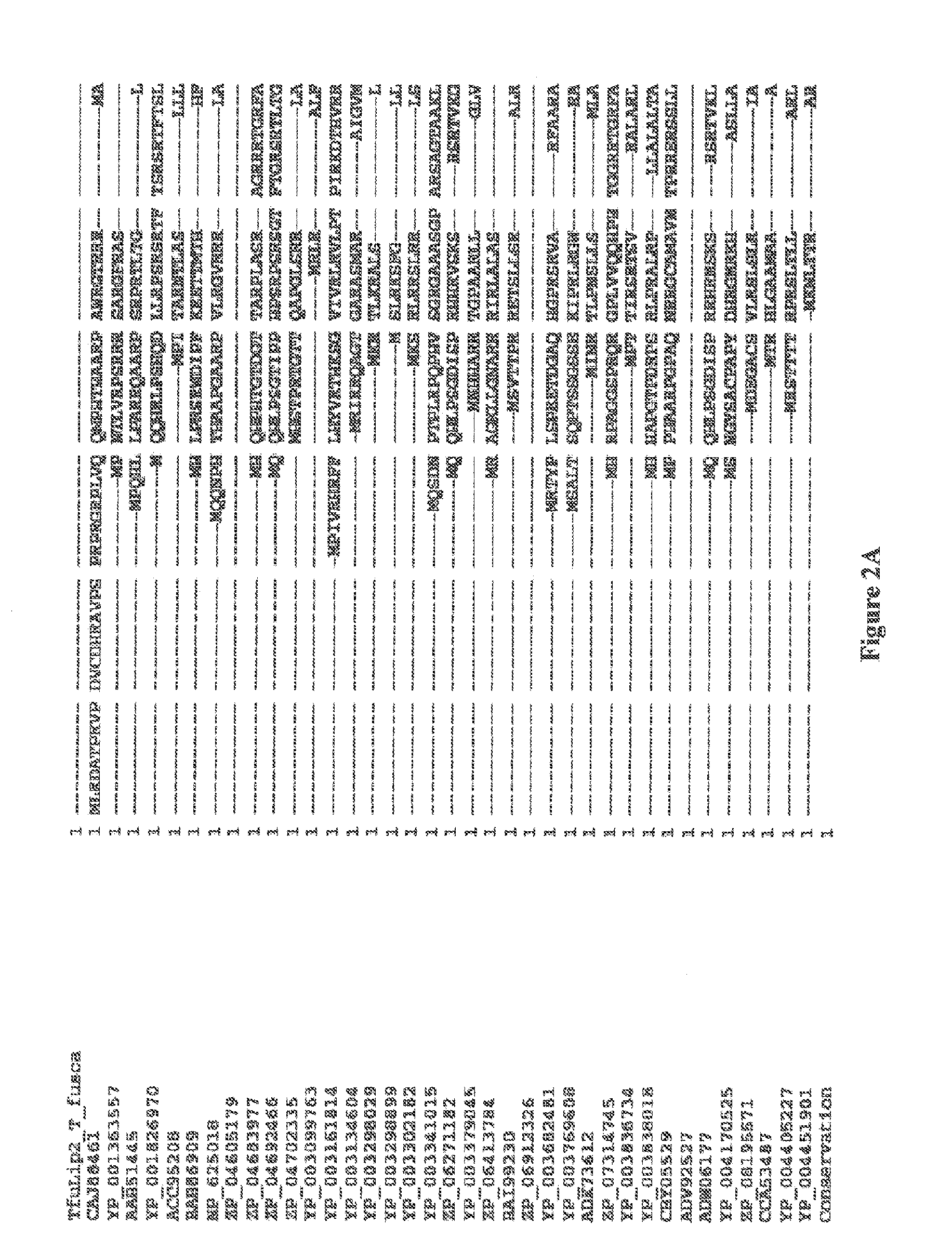 Compositions and Methods Comprising a Lipolytic Enzyme Variant