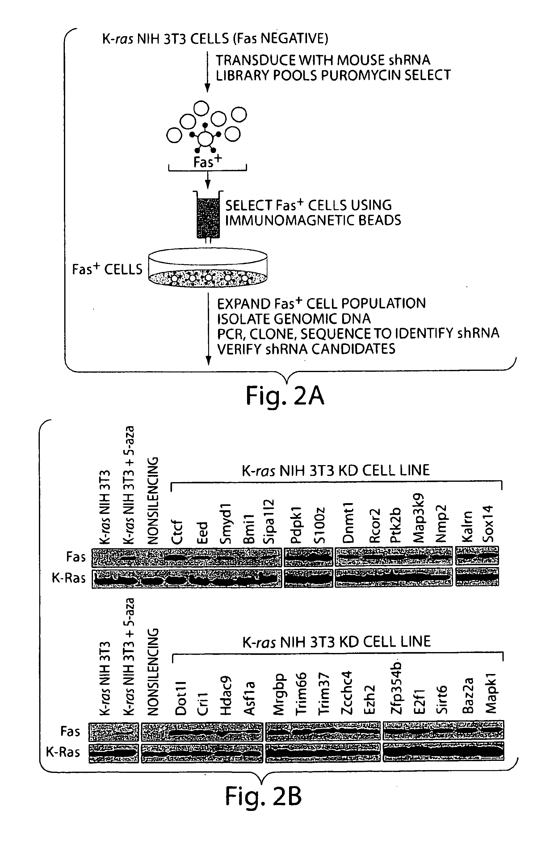 Ras-mediated epigenetic silencing effectors and uses thereof