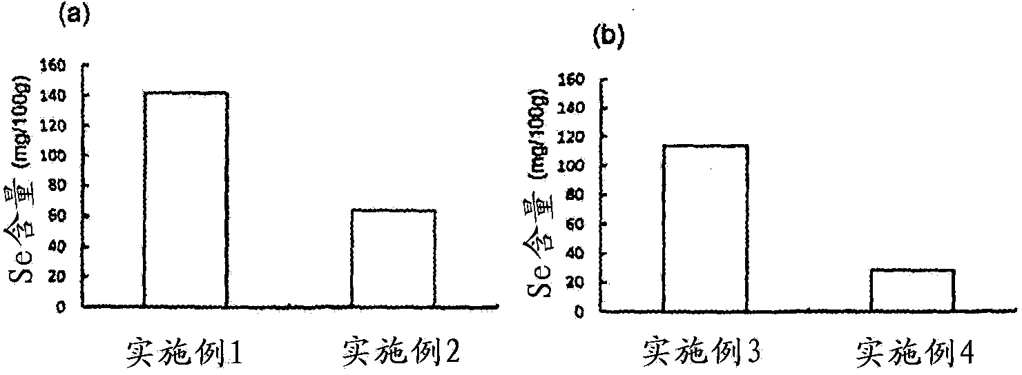 Novel metalloprotein and process for producing same, and prophylactic or therapeutic agent for corneal and conjunctival diseases comprising said metalloprotein