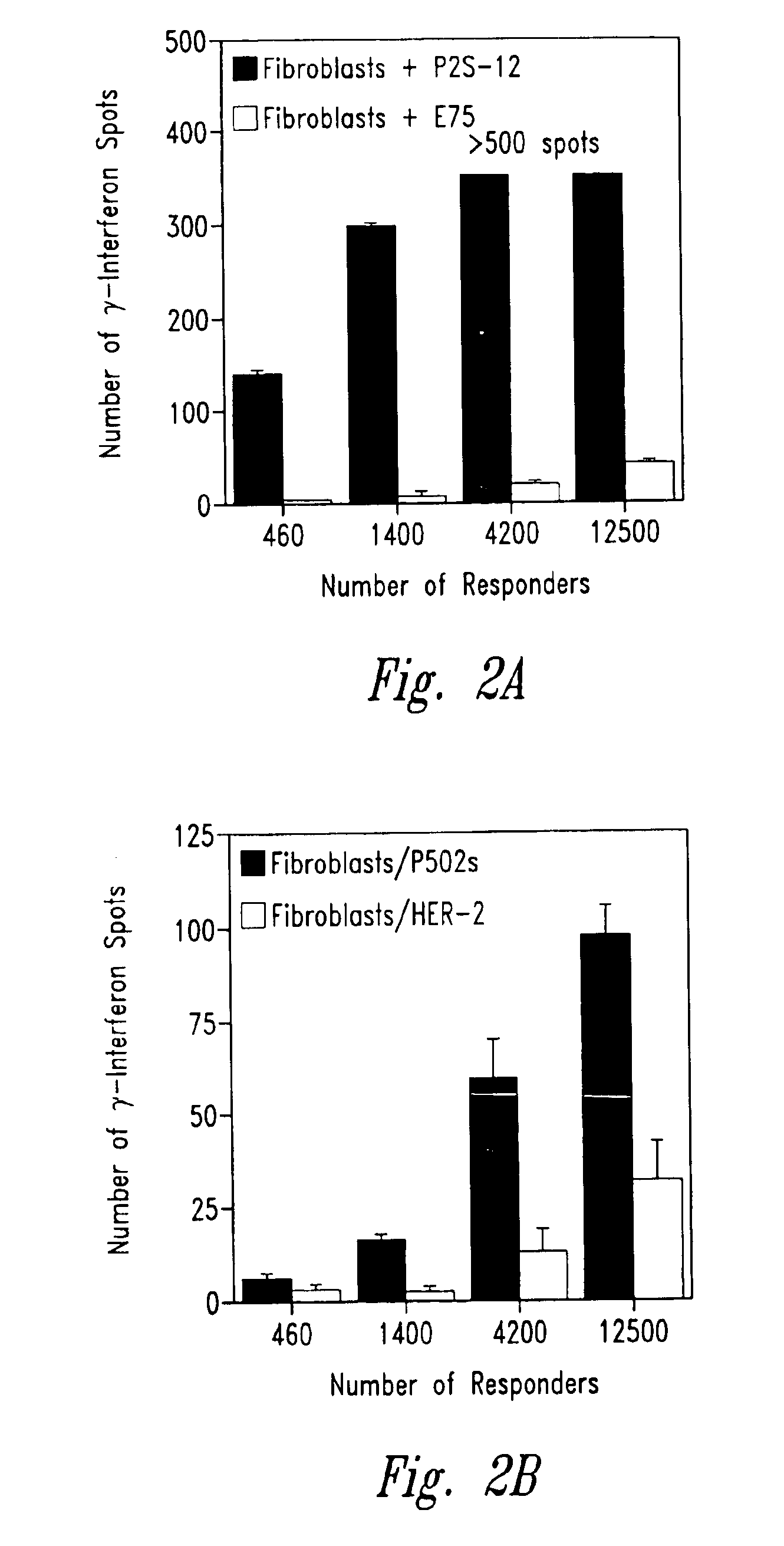 Compositions and methods for the therapy and diagnosis of prostate cancer