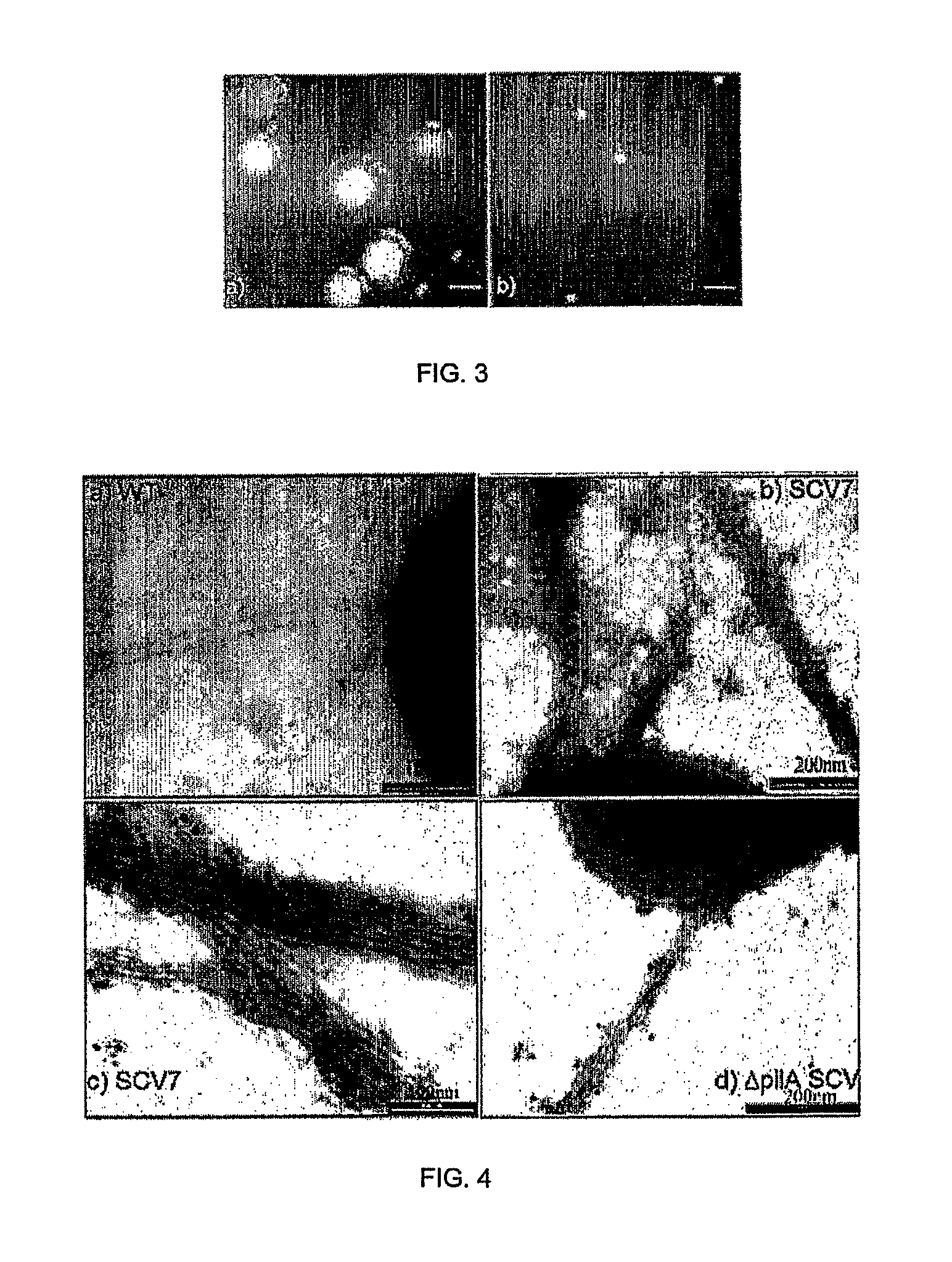 Toxin-antitoxin system and applications thereof