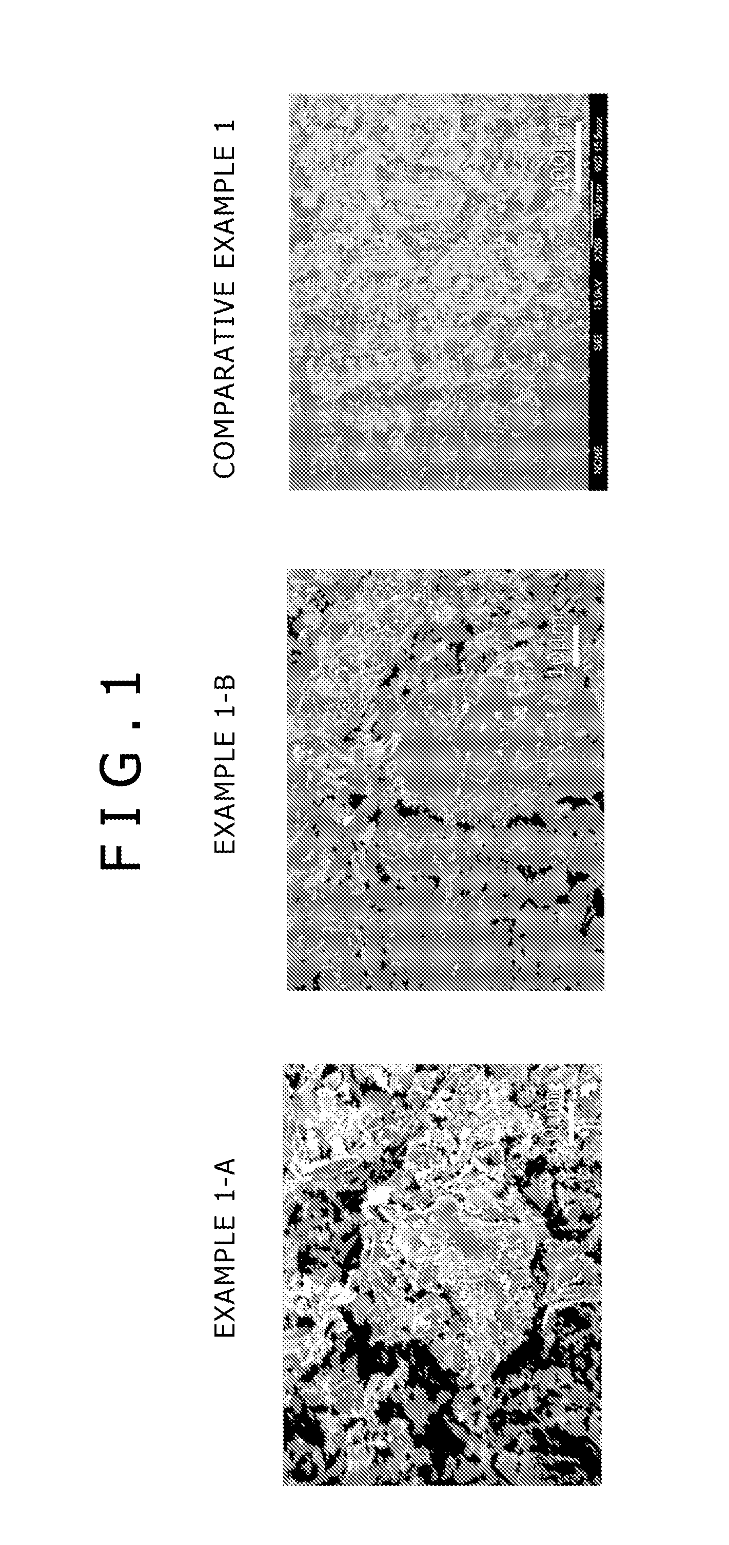 Fungicide, photo catalytic composite material, adsorbent, and depurative