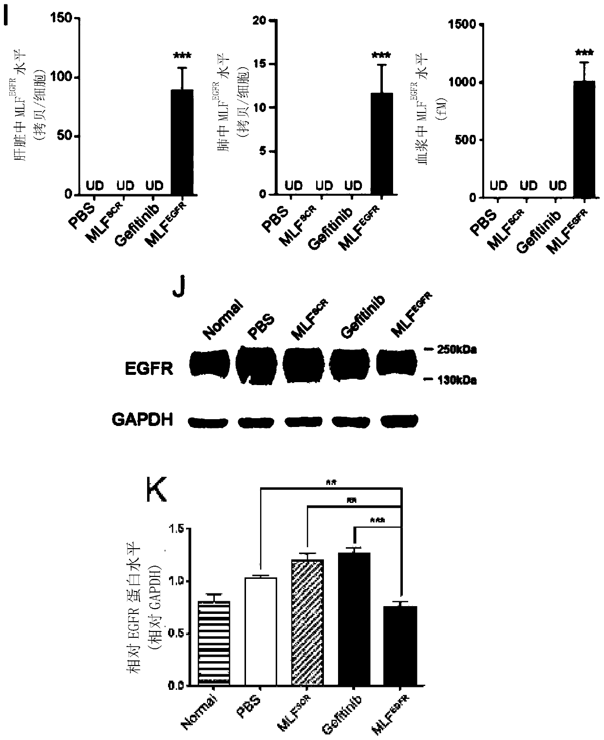 siRNA inhibiting EGFR expression as well as precursors and application of siRNA
