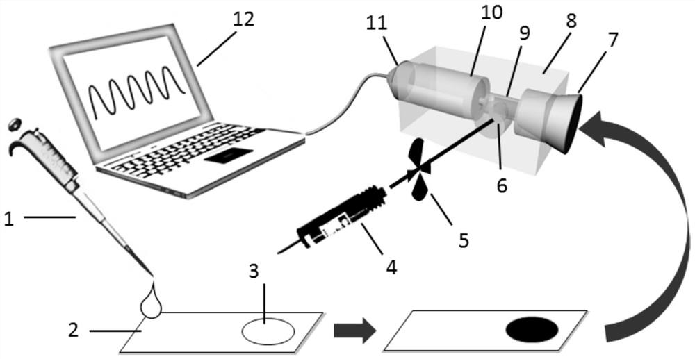 A photoacoustic detection device and method for glucose concentration in biological fluid