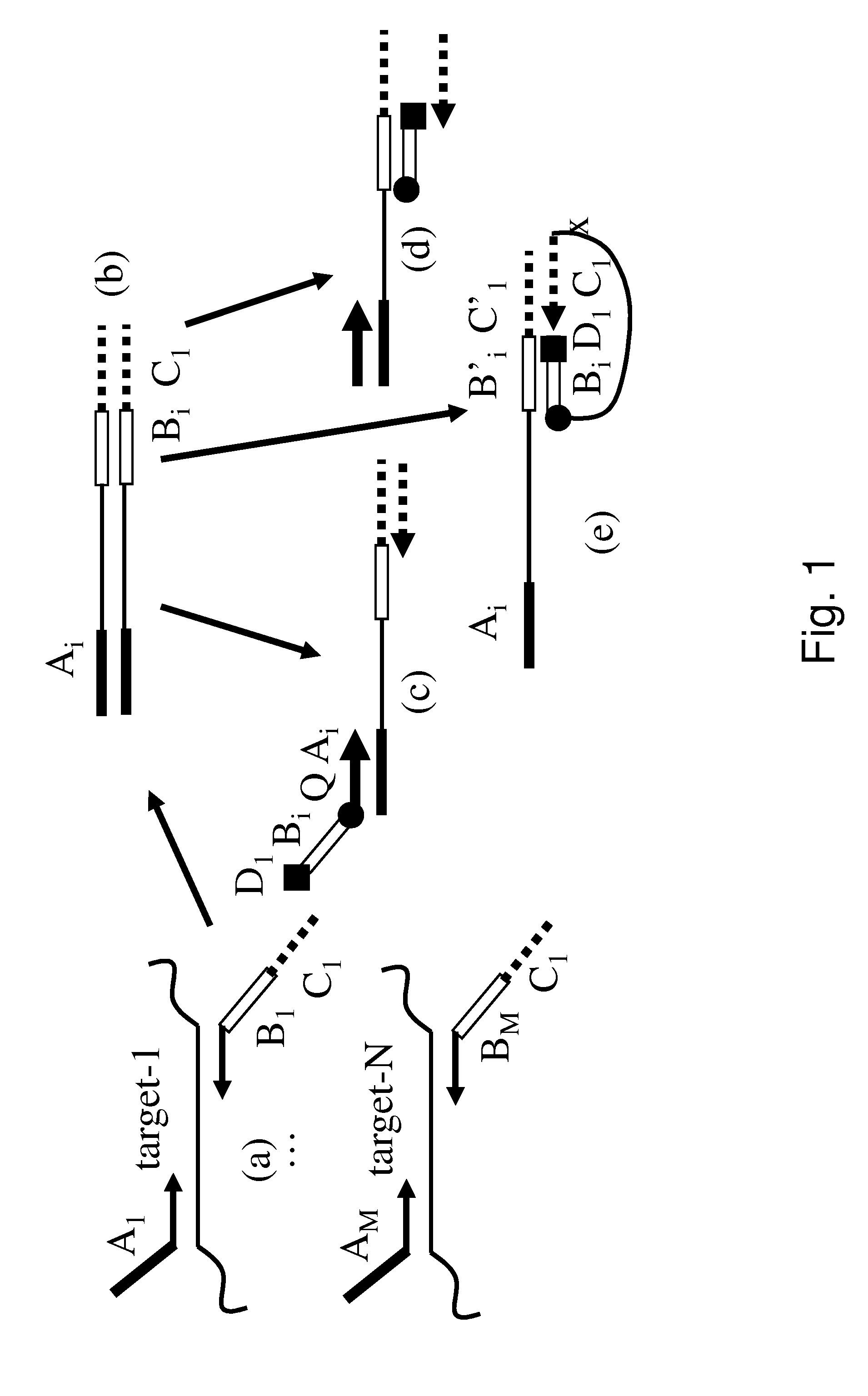 Methods and compositions for PCR using blocked and universal primers