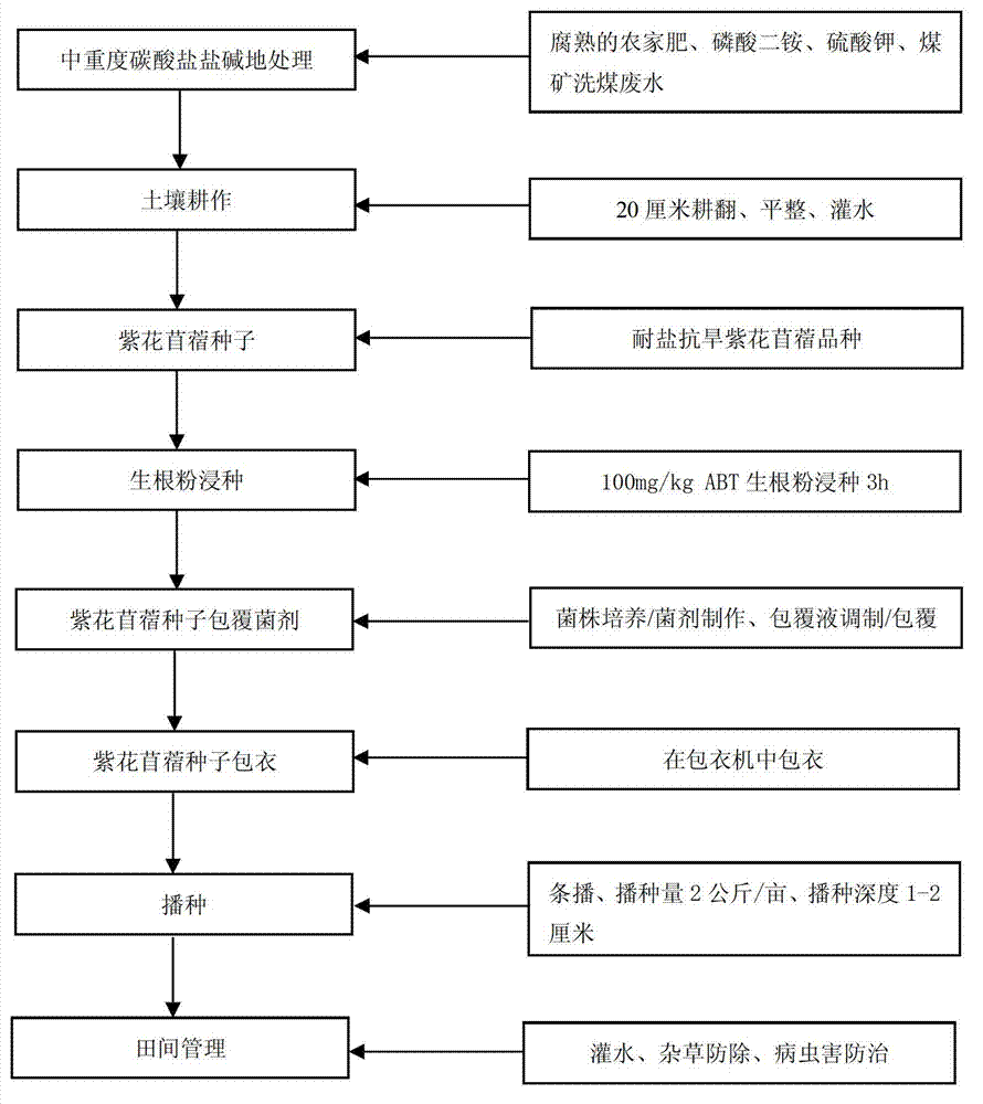 Method for planting alfalfa in moderately severe carbonate saline-alkali soil on large scale