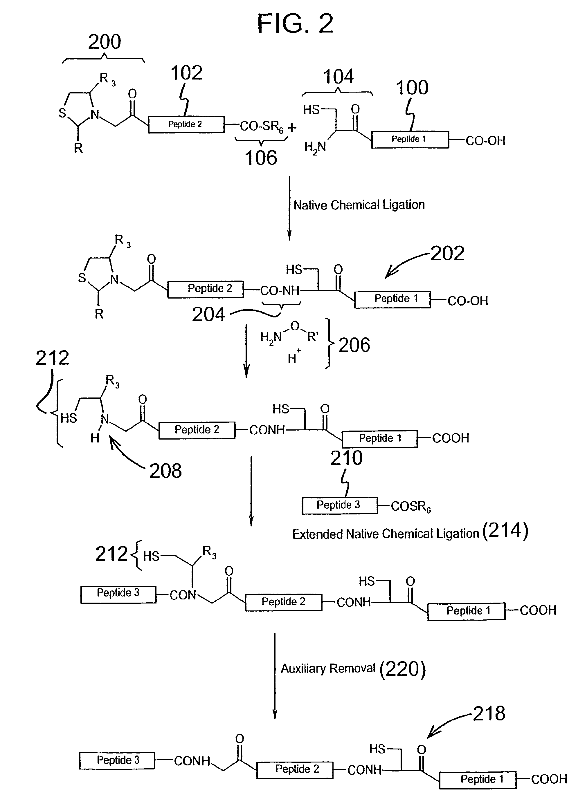 Chemical peptide ligation with three or more components