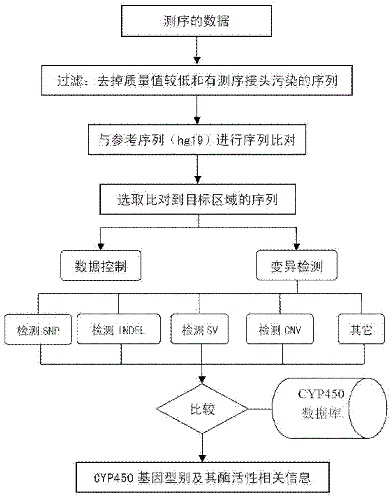 cyp450 genotype database and method for genotyping and enzyme activity identification