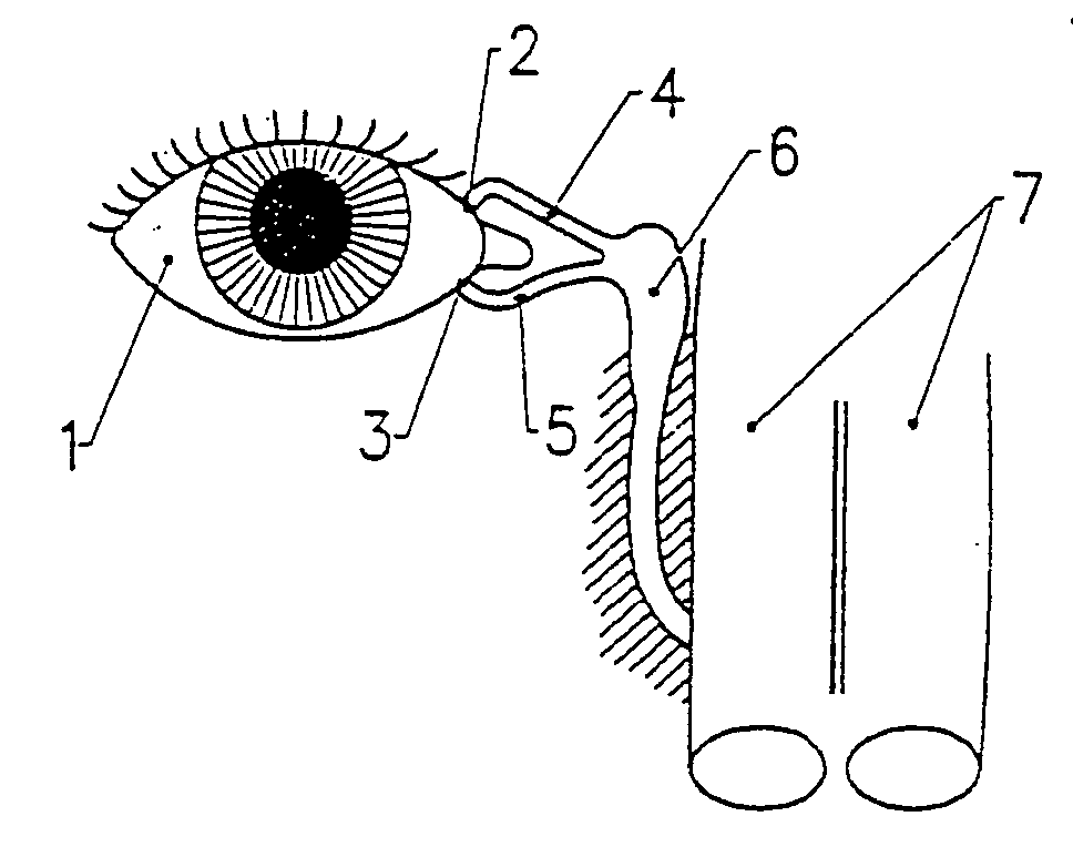 Lachrymal plugs and methods for setting same