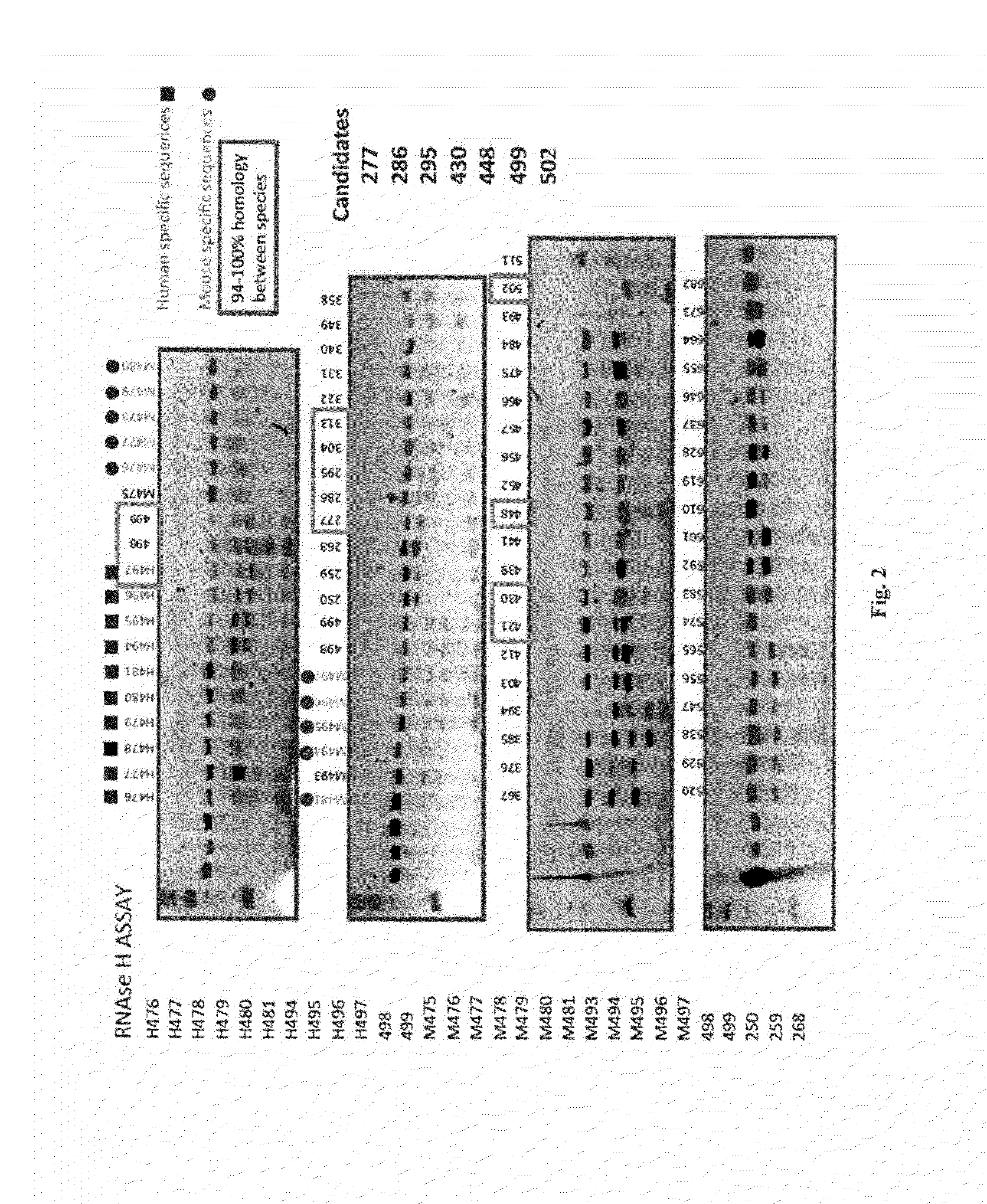 Compositions and methods for the treatment of parkinson disease by the selective delivery of oligonucleotide molecules to specific neuron types