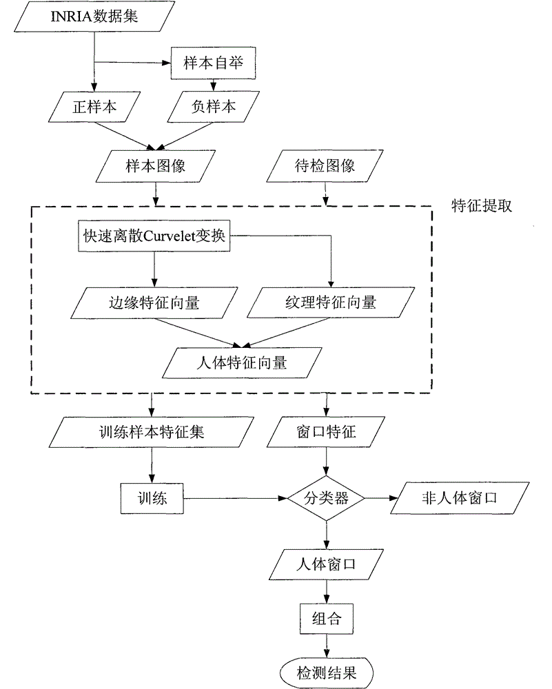 Second generation curvelet transform-based static human detection method