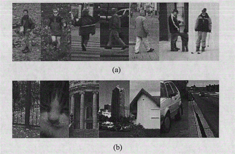 Second generation curvelet transform-based static human detection method