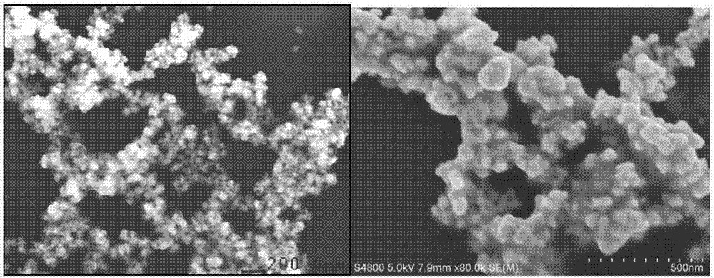 Porous nano-gold carbon nanotube composite material and preparation method thereof