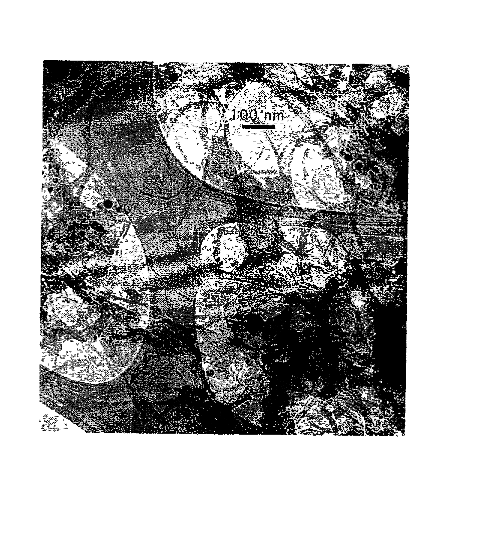 Highly purified single-wall carbon nanotubes and production thereof
