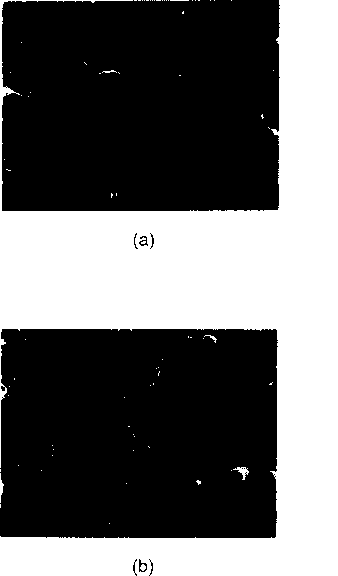Fluoro-rubber composite, rubber material using the same, and a method of manufacturing a fluoro-rubber molded product