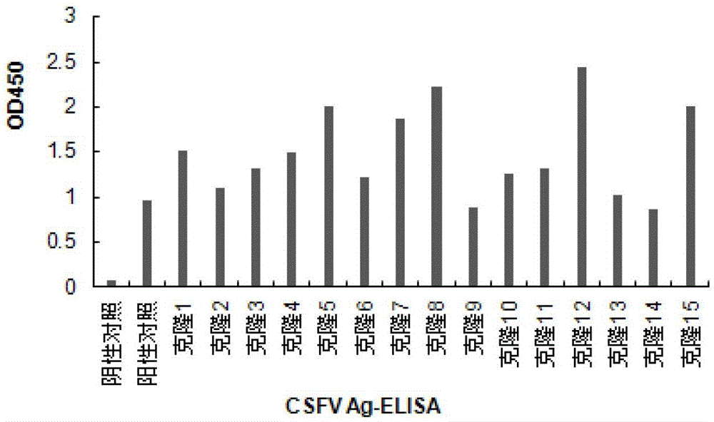 Recombinant cell line stably expressing swine fever virus e2 protein and its application in the preparation of swine fever subunit vaccine and diagnostic reagent