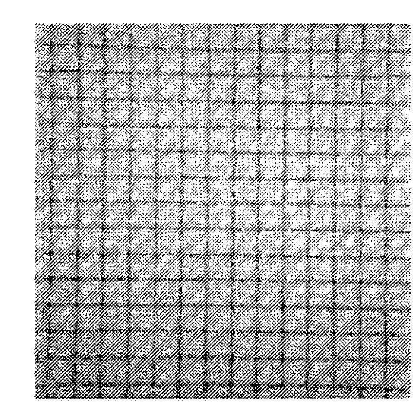 Method for calibrating and correcting the scanning distortion of an optical coherence tomography system