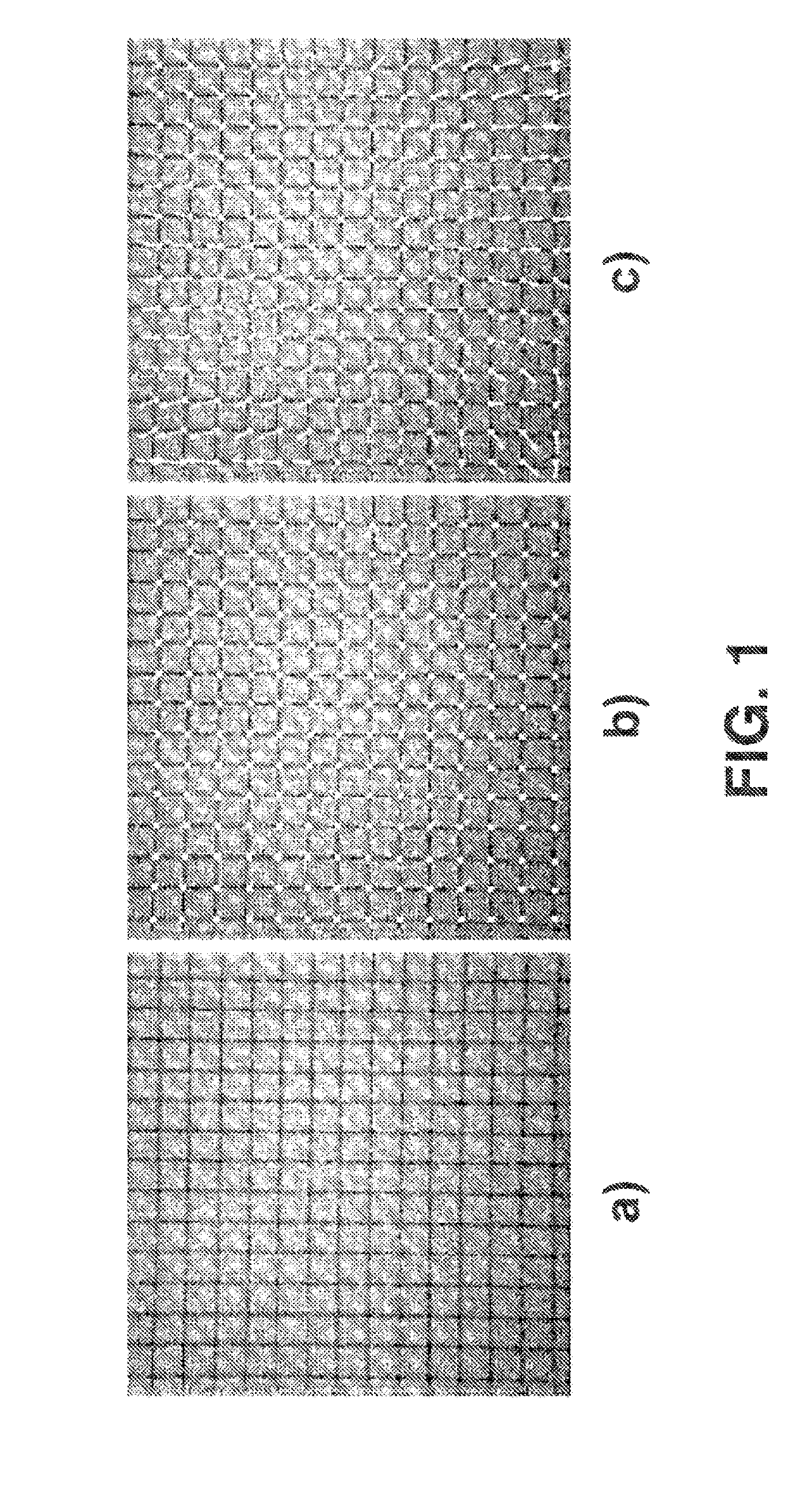 Method for calibrating and correcting the scanning distortion of an optical coherence tomography system