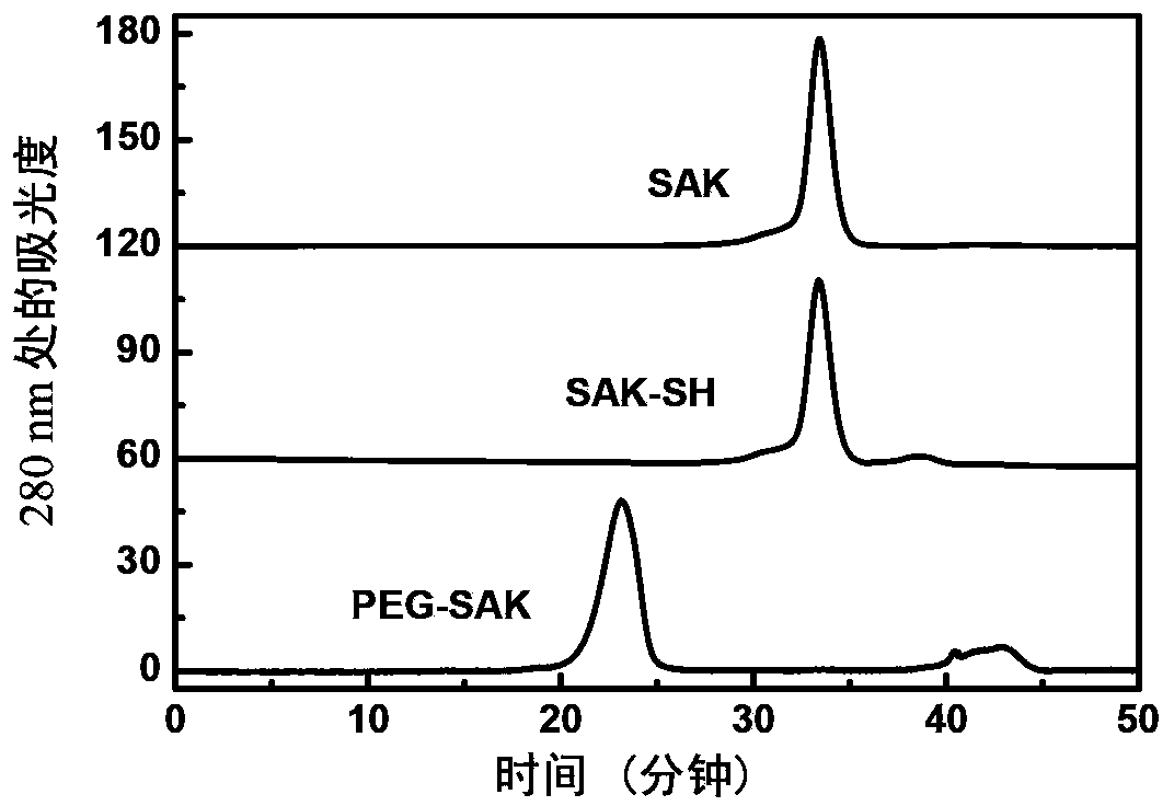 Method used for selective modification of protein carbon terminal carboxyl groups with polyethylene glycol