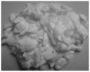 Method for preparing calcium sulfate whisker from phosphogypsum
