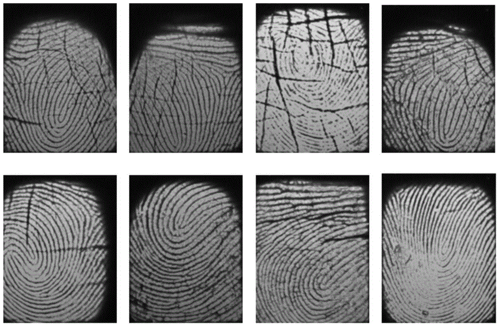 Fuzzy vault sharing method based on fingerprint characteristic and finite multiplicative group