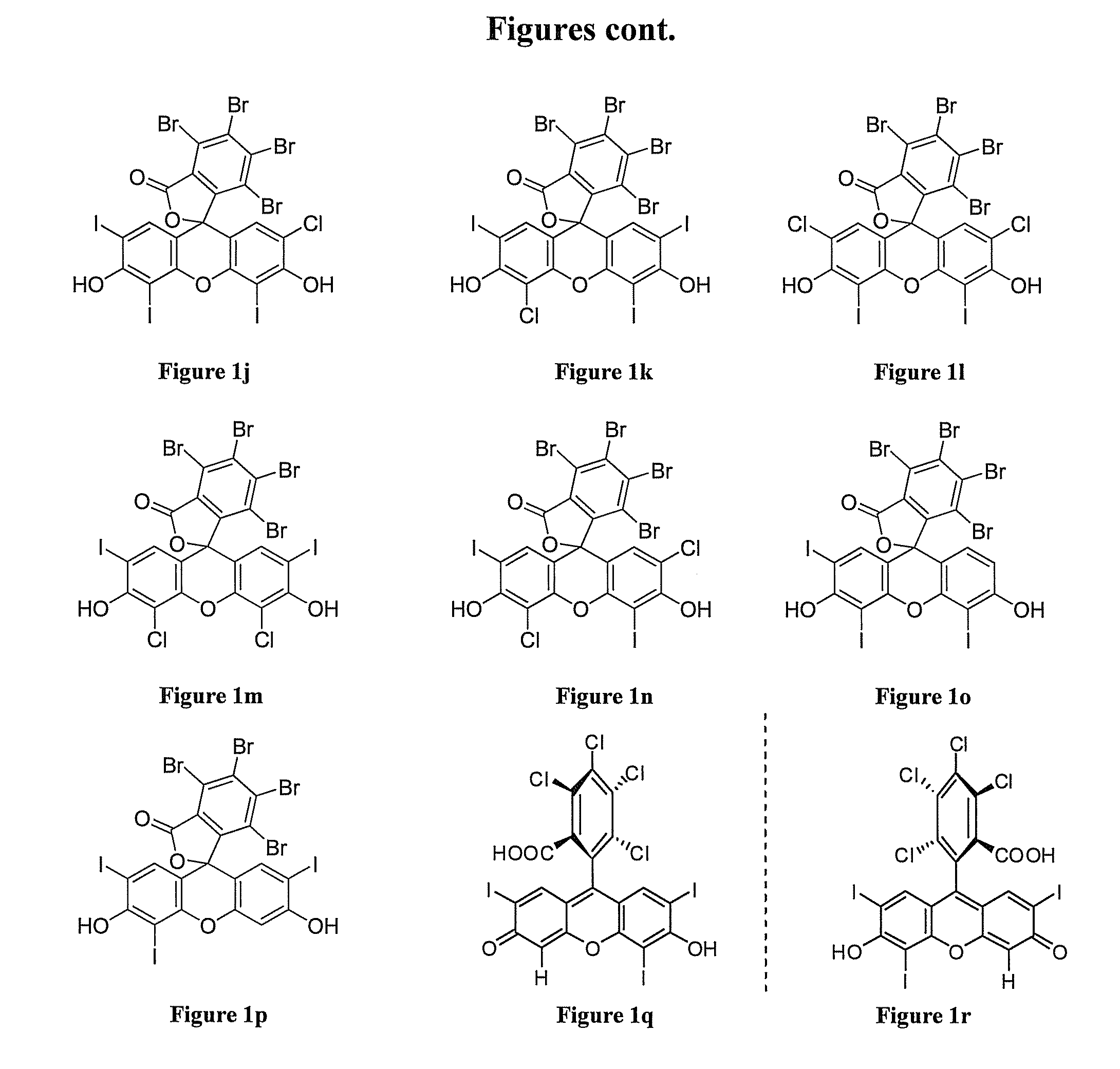 Process for the Synthesis of 4,5,6,7-tetrachloro-3',6'-dihydroxy-2',4',5',7'-tetraiodo-3H-spiro[isobenzofuran-1,9'-xanthen]-3-one (Rose Bengal) and Related Xanthenes