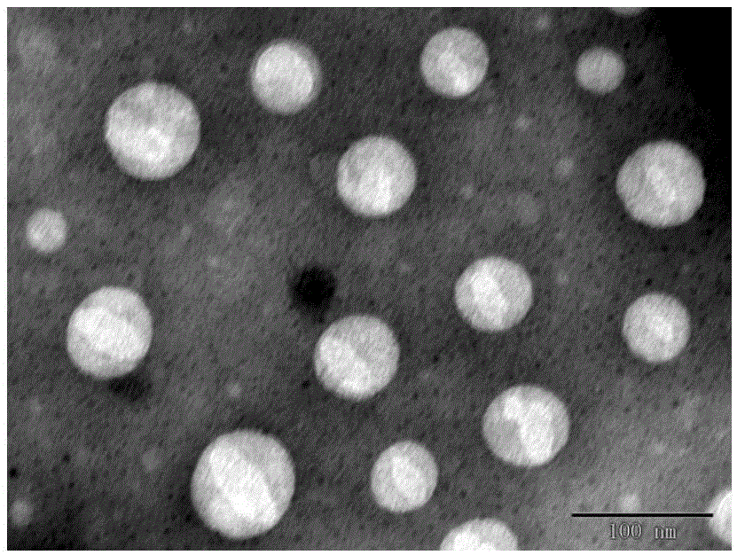Polymer material containing cholic acid and liposome modified by same