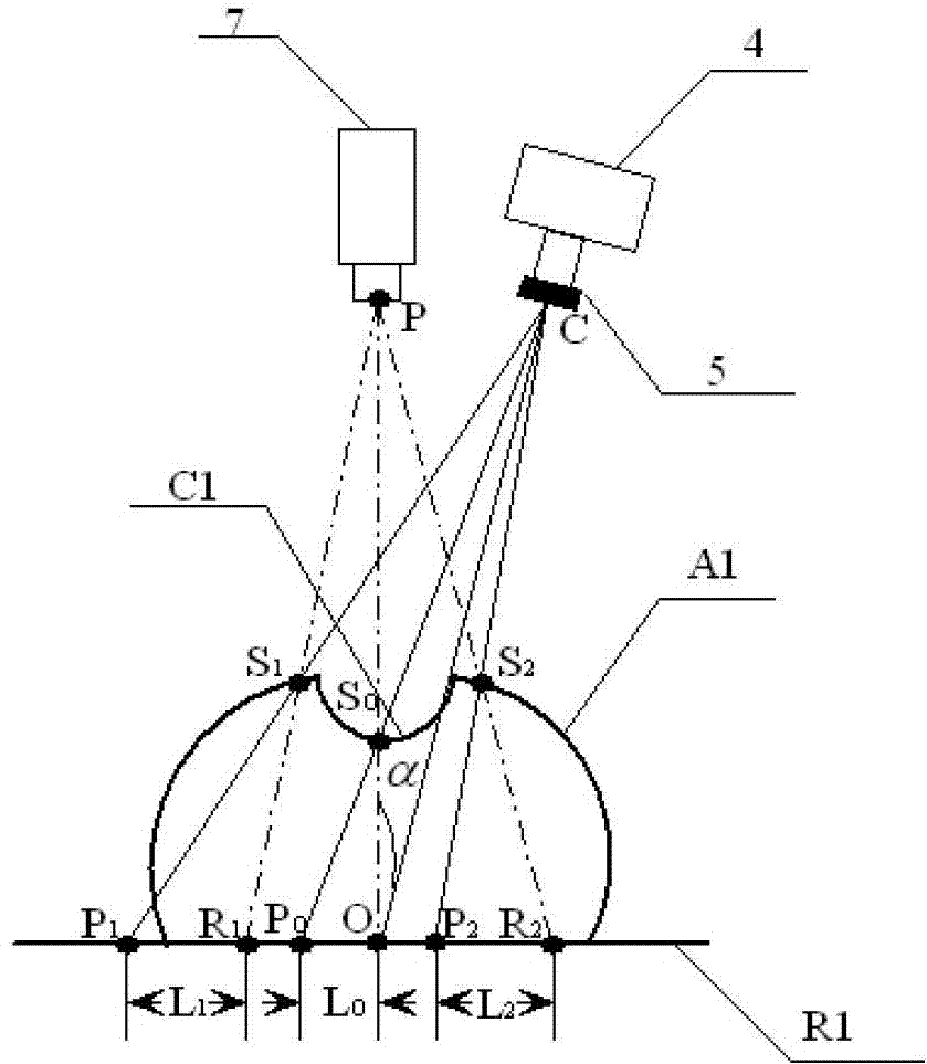 System and method for detecting apple surface defect