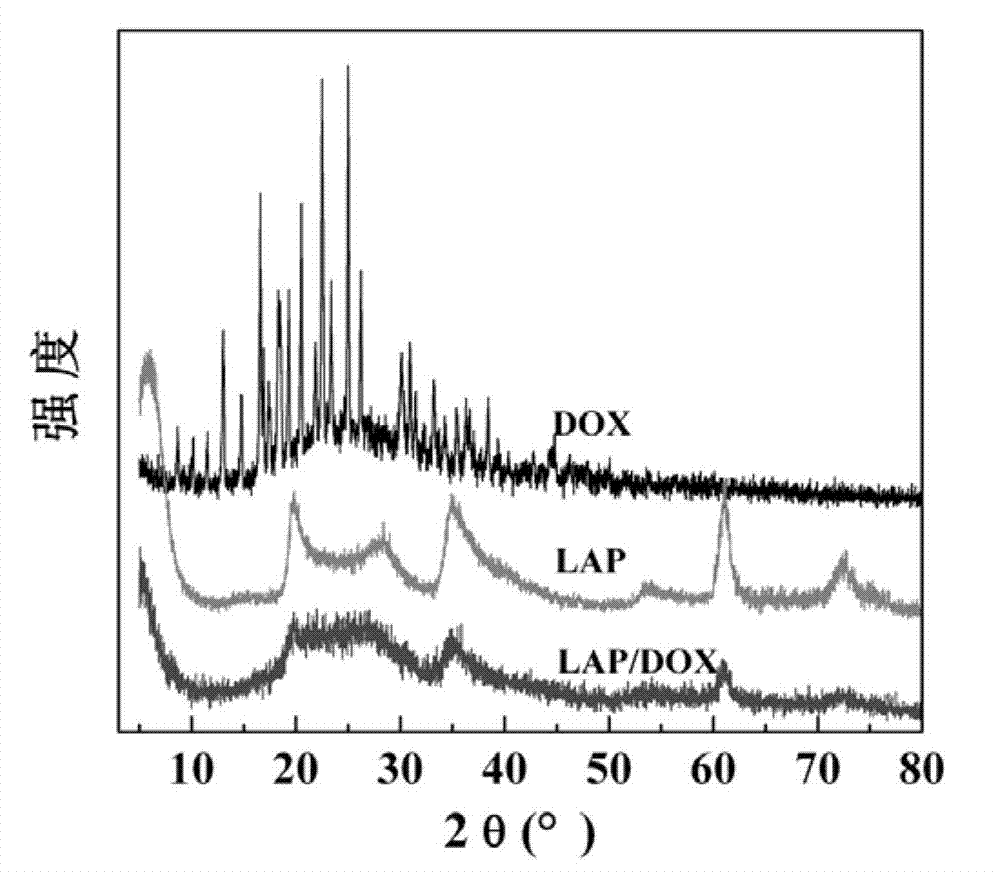 Method for loading doxorubicine (DOX) anti-cancer medicine by laponite (LAP) clay nanoparticles