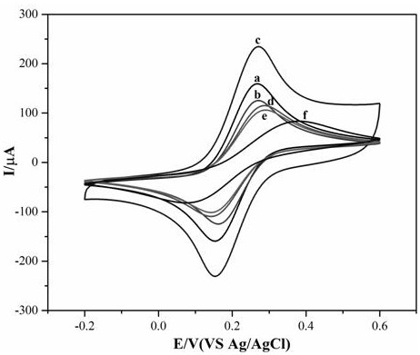 Self-assembled label-free magnetic nano CYP2C9 * 3 gene probe and preparation method thereof